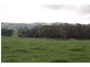 365 Dollar Road, Dumbalk VIC 3956