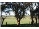 3045 Meeniyan Promontory Road, Yanakie VIC 3960
