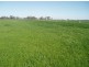 1857 Middleton Road, Lockington VIC 3563