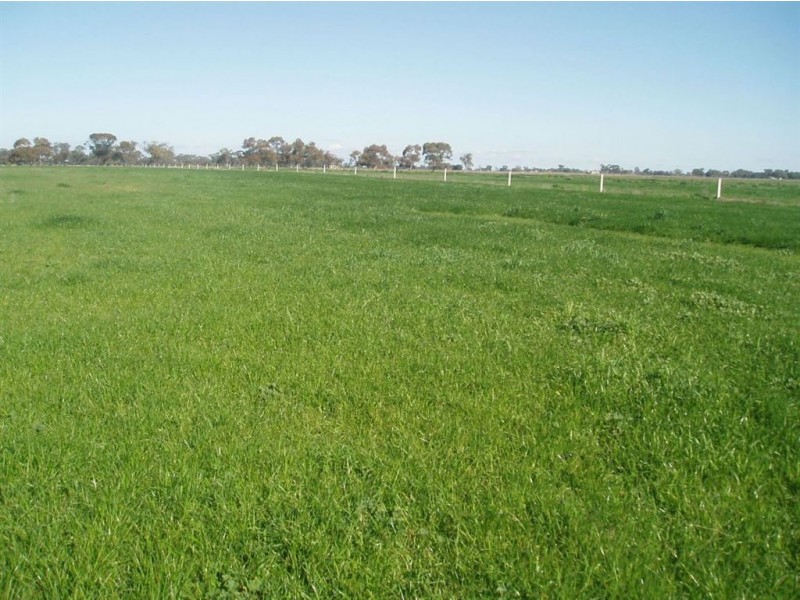 1857 Middleton Road, Lockington VIC 3563