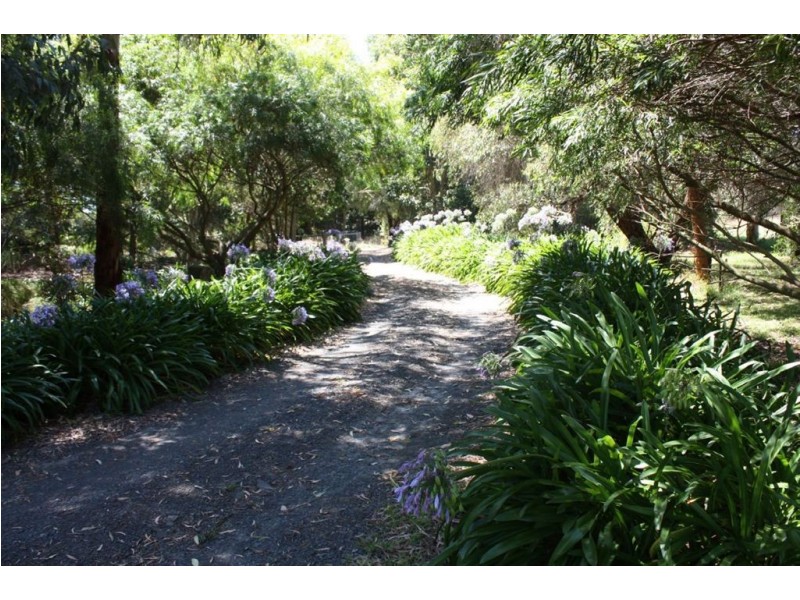 45 Arbuthnots Road, Pound Creek, Inverloch VIC 3996