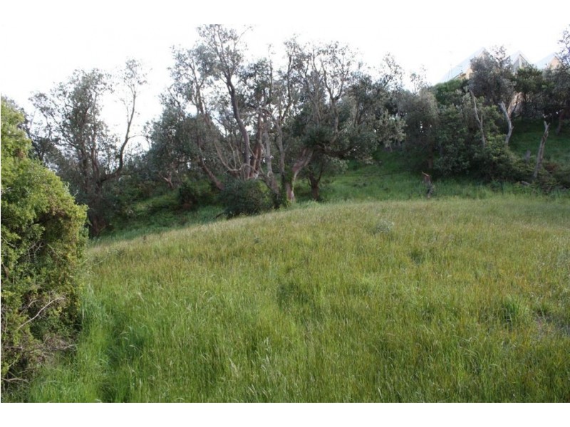 43 Alfred Crescent, Venus Bay VIC 3956