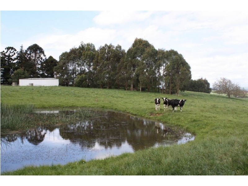260 Harveys Road, Leongatha VIC 3953