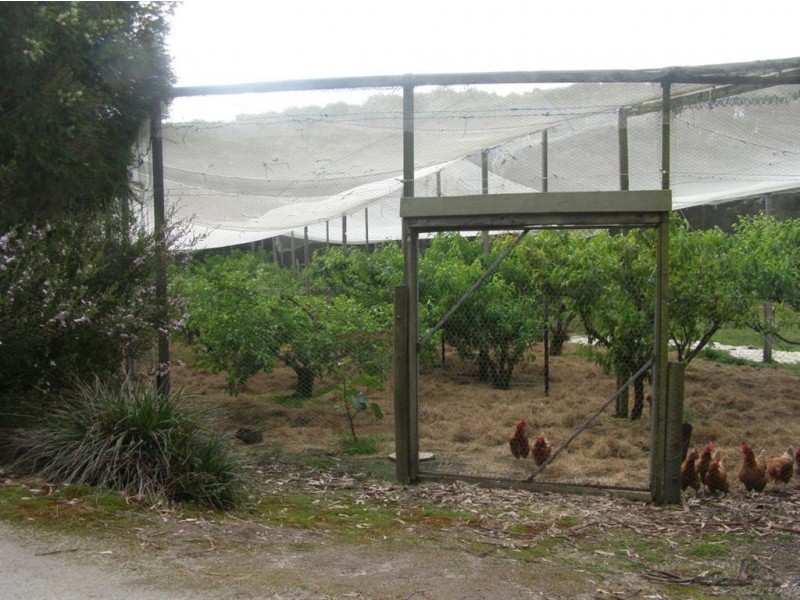 220 Wisdoms Road, Pound Creek,, Inverloch VIC 3996