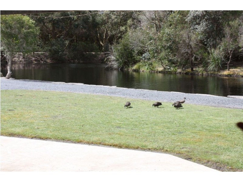 220 Wisdoms Road, Pound Creek,, Inverloch VIC 3996