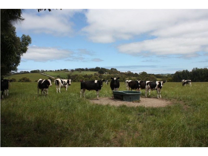 420 Koonwarra Pound Creek Road, Leongatha South VIC 3953