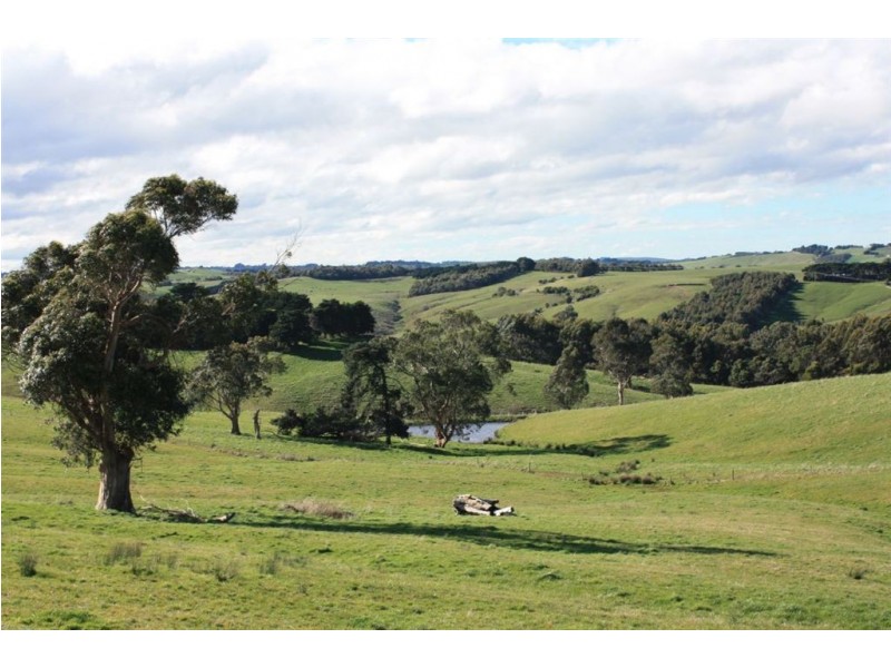 515 Dalyston Glen Forbes Road, Archies Creek VIC 3995