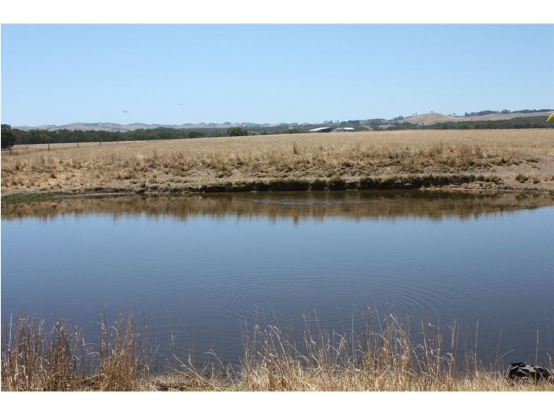 777 Buffalo Stony Creek Road, Stony Creek VIC 3957
