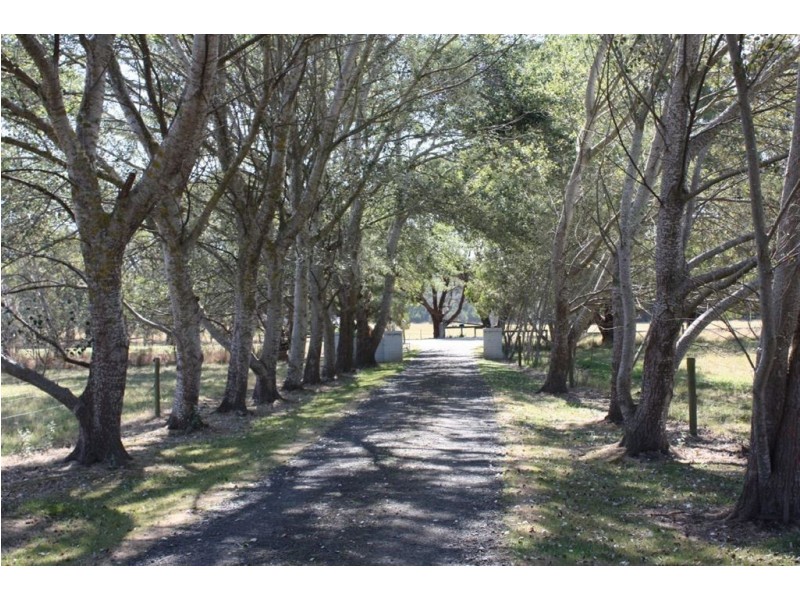 37 Pennell Court, Wattle Bank VIC 3995