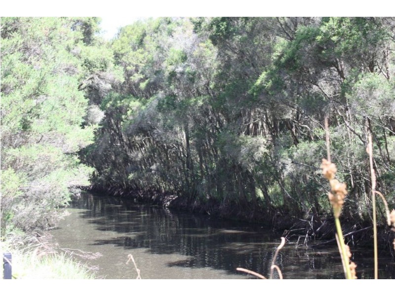 37 Pennell Court, Wattle Bank VIC 3995