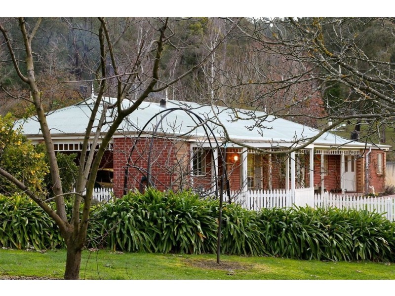 169 Darlimurla Road, Mirboo North VIC 3871