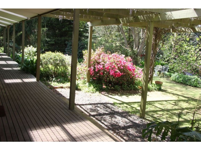 250 Old Thorpdale Road, Mirboo North VIC 3871