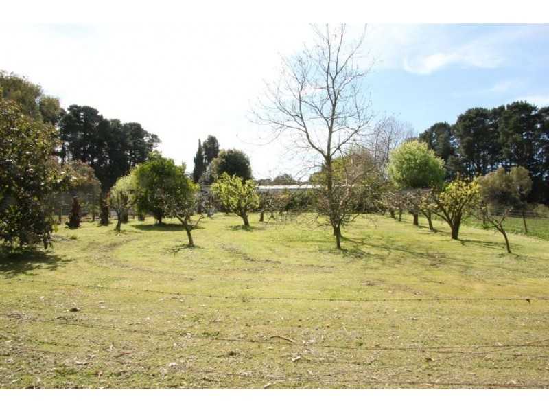 250 Old Thorpdale Road, Mirboo North VIC 3871