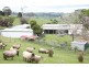 3535 Grand Ridge Road, Mirboo North VIC 3871