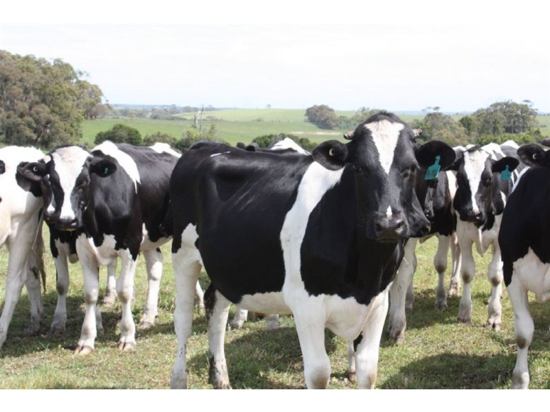 115 Lyons Court, Pound Creek VIC 3996