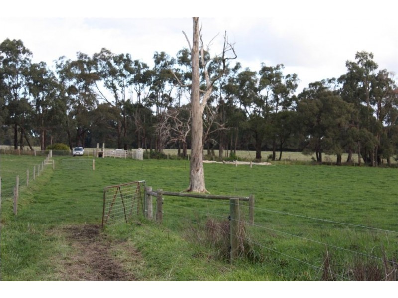 365 Dollar Road, Dumbalk VIC 3956