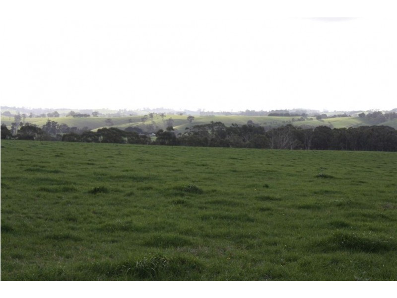 365 Dollar Road, Dumbalk VIC 3956