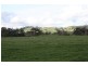 365 Dollar Road, Dumbalk VIC 3956