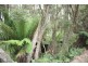 90 Lyons Court, Pound Creek VIC 3996