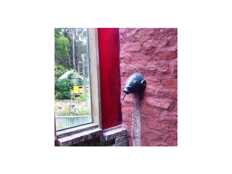 55 Black Swamp Road, Foster VIC 3960