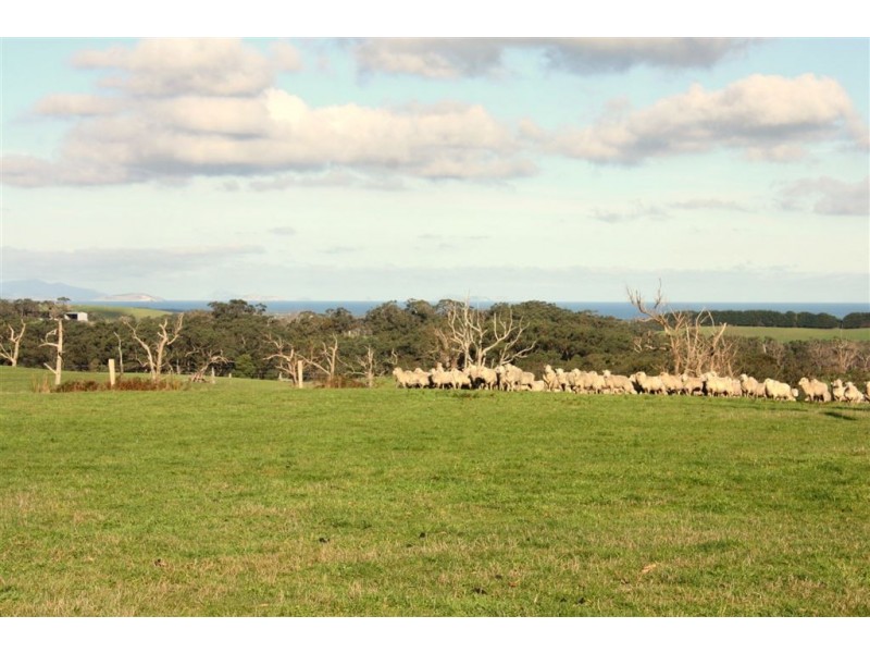 607 Waratah Road, Fish Creek VIC 3959