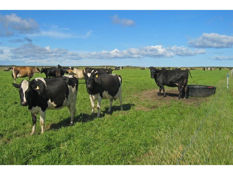 78 James Road, Port Welshpool VIC 3965