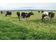 78 James Road, Port Welshpool VIC 3965