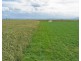 78 James Road, Port Welshpool VIC 3965