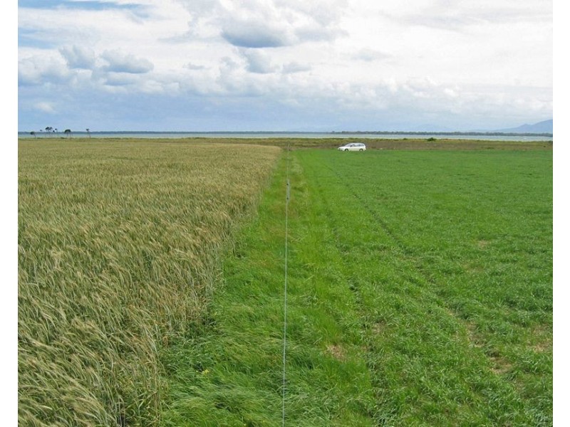 78 James Road, Port Welshpool VIC 3965