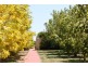 6323 South Gippsland Highway, Loch VIC 3945
