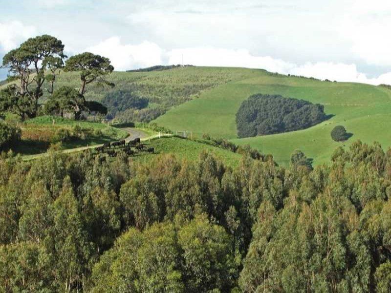 Lot 1 Wallis Ridge Road, Fish Creek VIC 3959