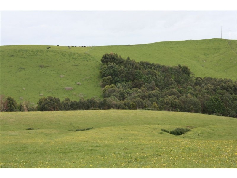 35 Hawkins Road, Dalyston VIC 3992