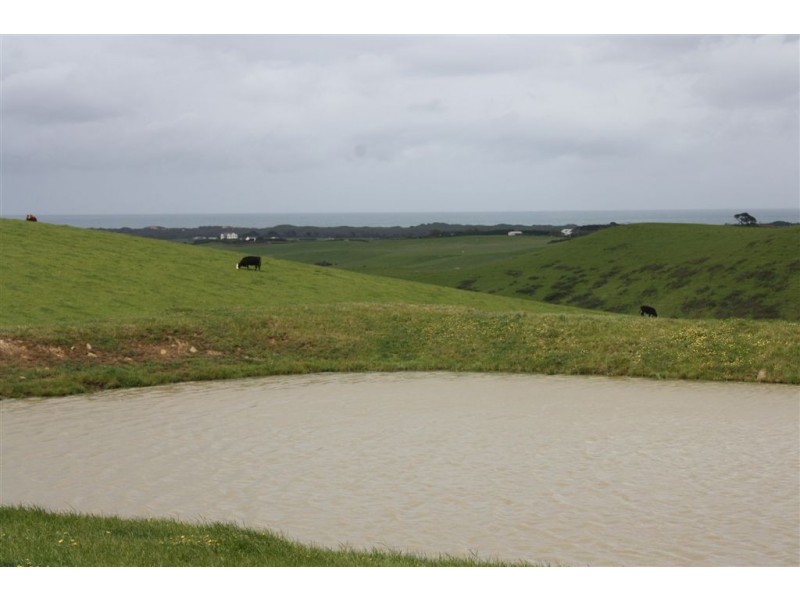 35 Hawkins Road, Dalyston VIC 3992