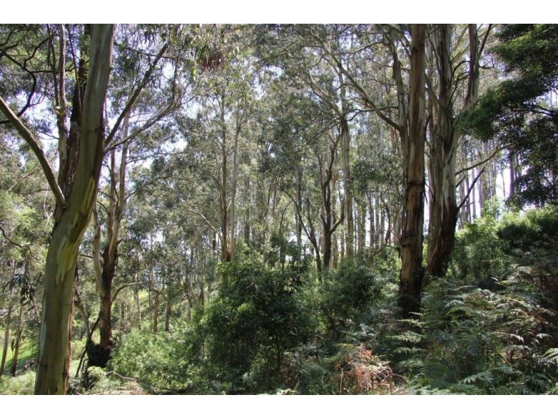 3441 Grandridge Ridge Road, Mirboo North VIC 3871