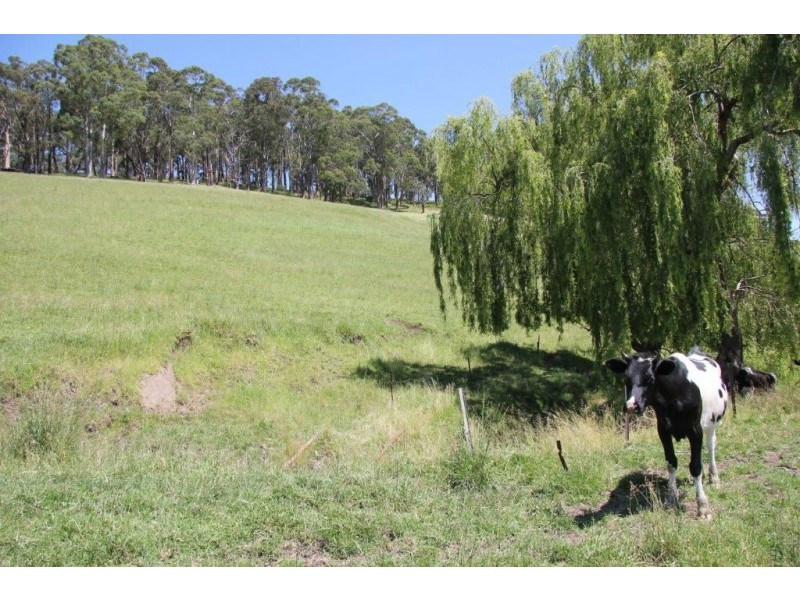 3441 Grandridge Ridge Road, Mirboo North VIC 3871