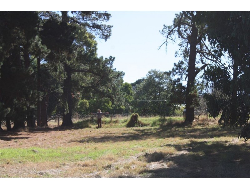 55 Beach Road, Rhyll VIC 3923