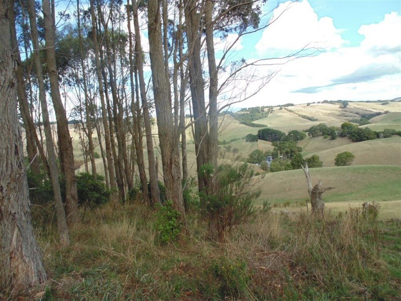 177 Falls Road, Stony Creek VIC 3957