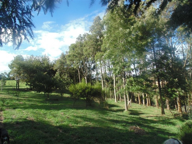 177 Falls Road, Stony Creek VIC 3957