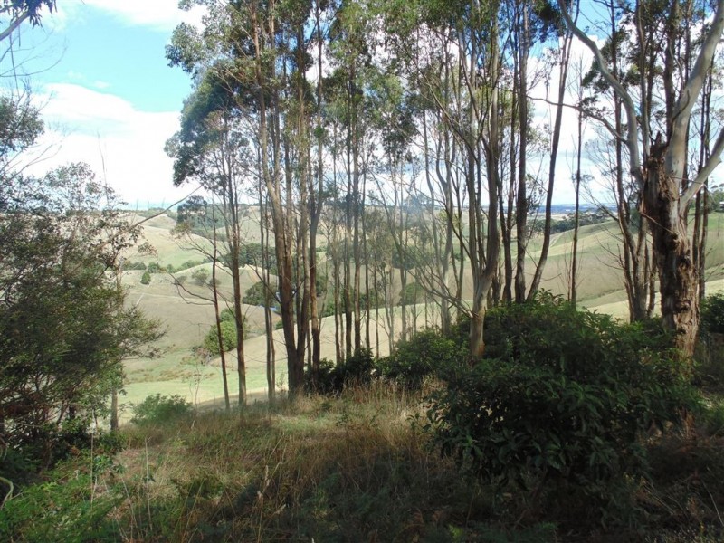 177 Falls Road, Stony Creek VIC 3957