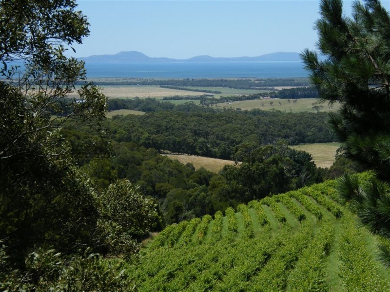 527 Fish Creek Foster Road, Foster VIC 3960