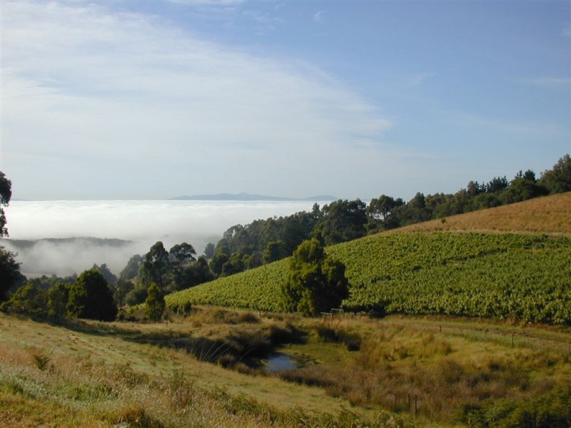 527 Fish Creek Foster Road, Foster VIC 3960