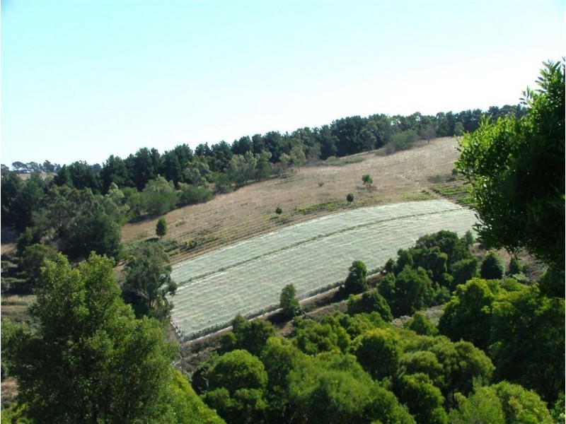 527 Fish Creek Foster Road, Foster VIC 3960