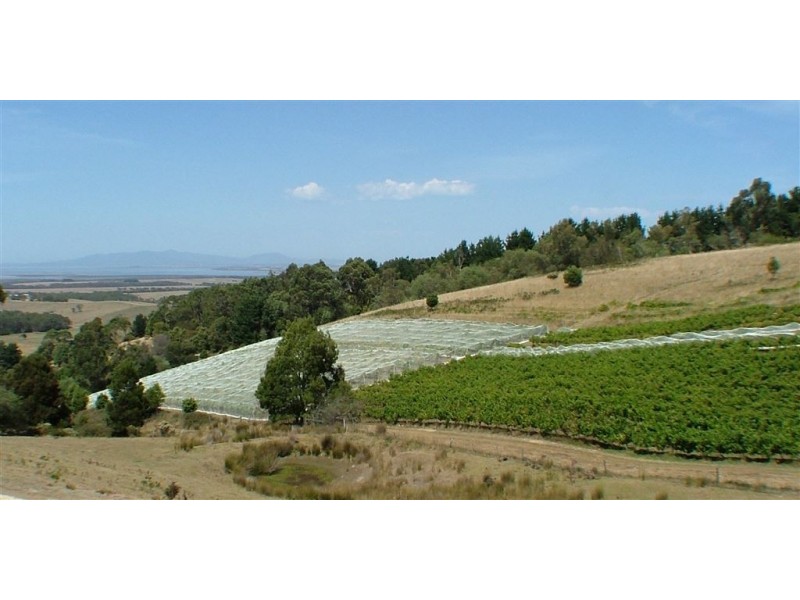 527 Fish Creek Foster Road, Foster VIC 3960