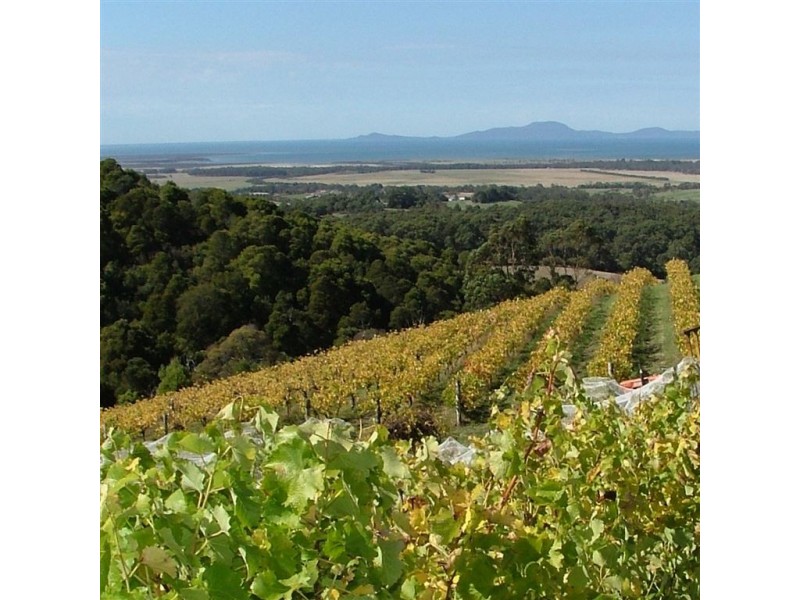 527 Fish Creek Foster Road, Foster VIC 3960