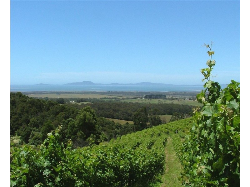 527 Fish Creek Foster Road, Foster VIC 3960