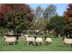 20 McCartins Lane, Mirboo North VIC 3871