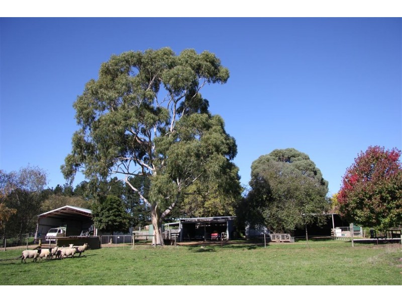 20 McCartins Lane, Mirboo North VIC 3871