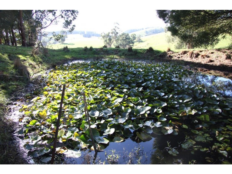 495 Prosper valley Road, Budgeree VIC 3870