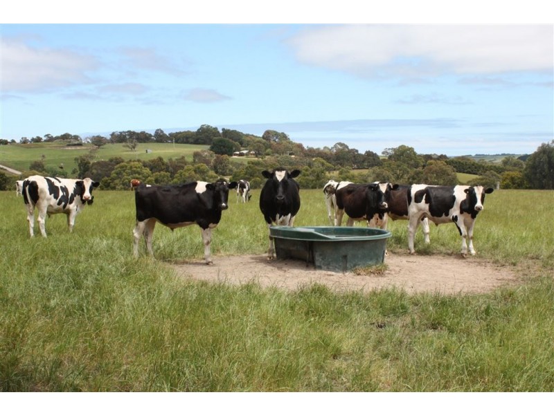 420 Koonwarra Pound Creek Road, Leongatha South VIC 3953