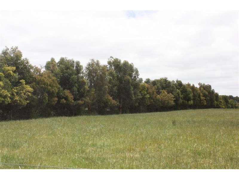 420 Koonwarra Pound Creek Road, Leongatha South VIC 3953